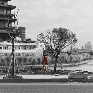 日韩少妇巨乳做爰
